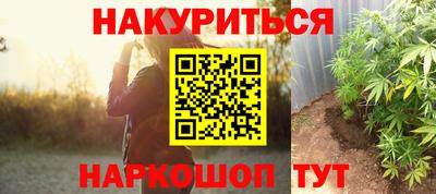 твердый Бийск