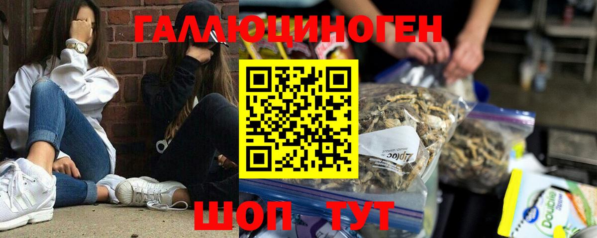 Псилоцибиновые грибы Magic Shrooms  Вход с VPN  Зима 